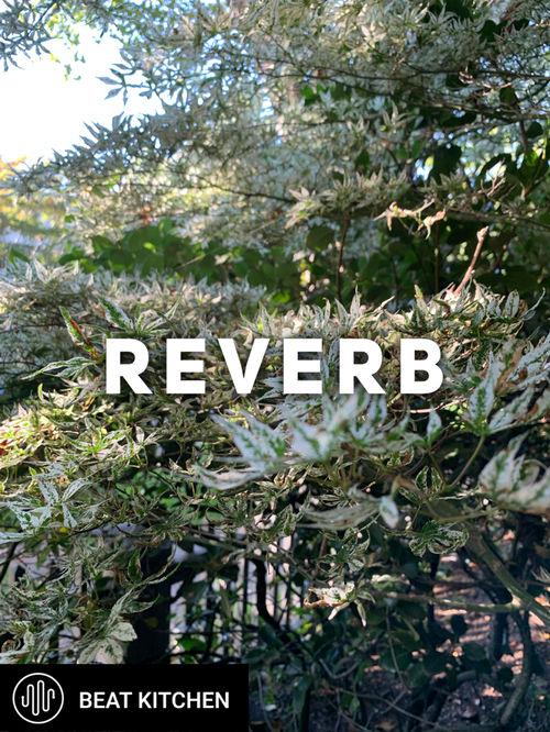 Video thumbnail: Reverb. I am brimming with things that I want to say about reverb. There’s no way I can put this...