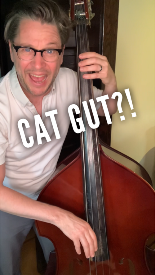 Video thumbnail: Cat gut? No. Despite what you may have heard, instruments are not strung with cat gut. Neither are...