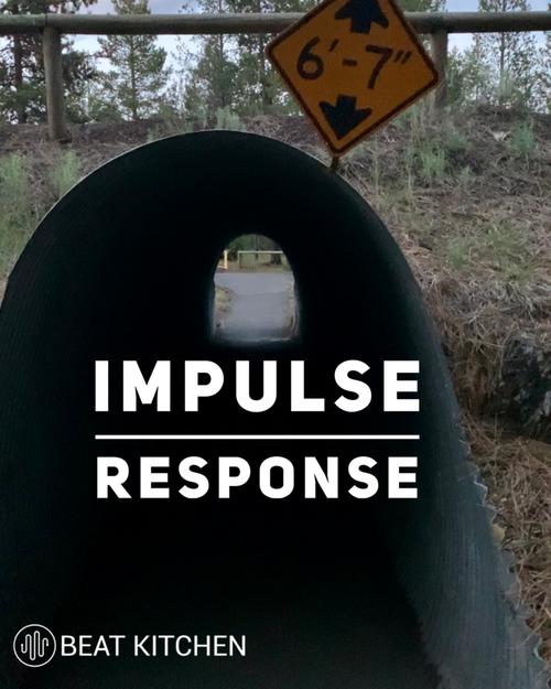 Video thumbnail: An impulse response is like an acoustic fingerprint.