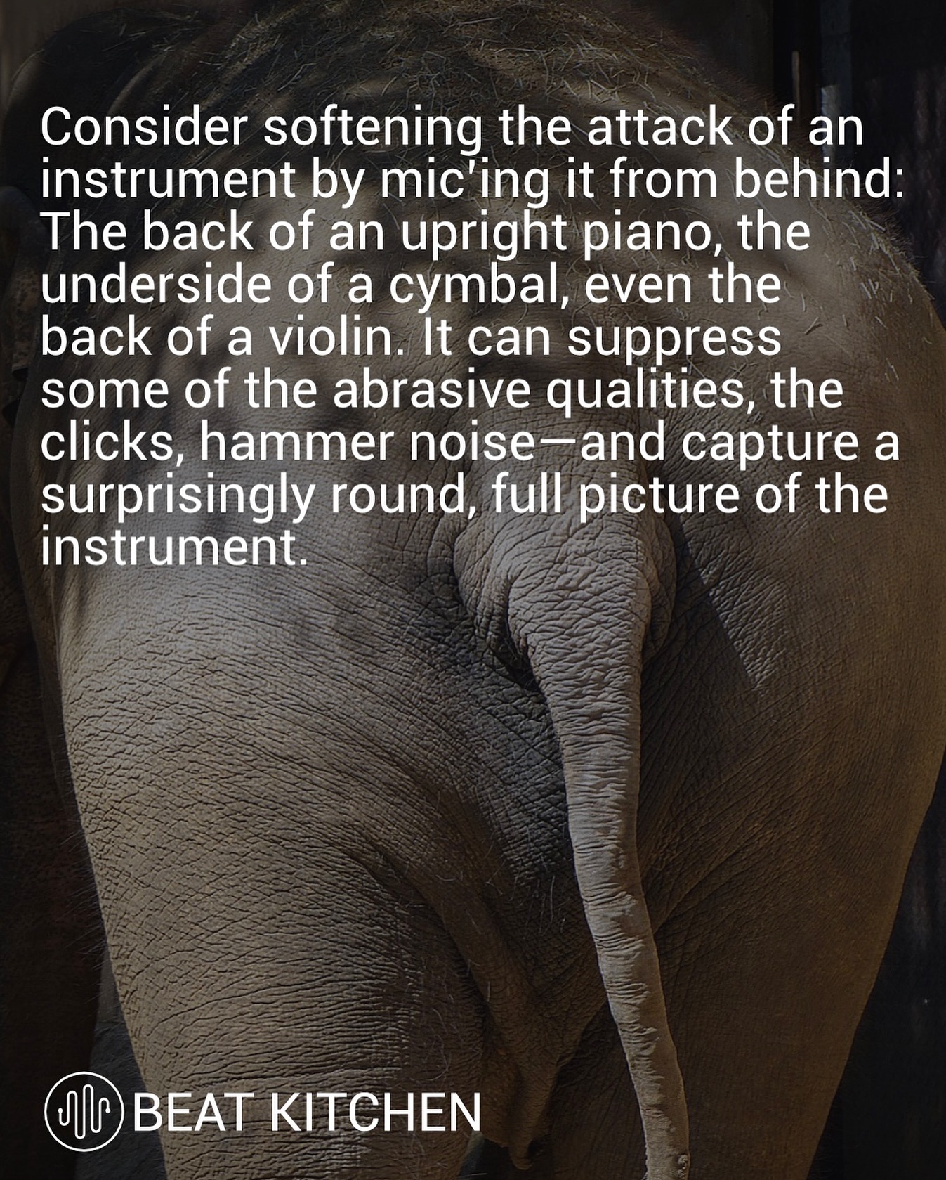 Photo of an elephant from behind with overlaid text about mic'ing instruments from the back to soften the attack
